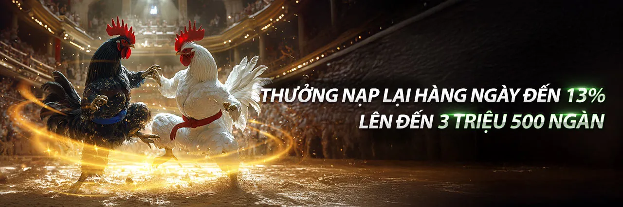 Sân đấu đá gà trực tuyến sôi động tại RM88